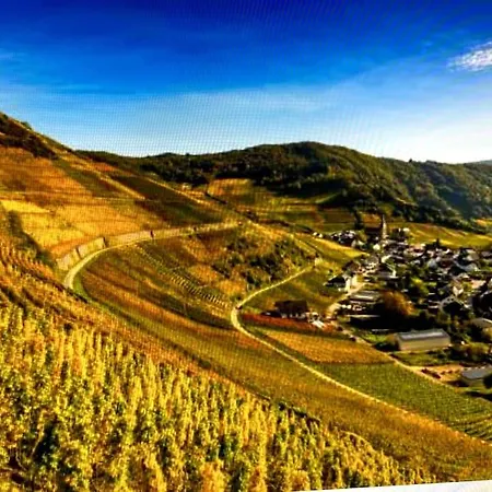 Live Joy- 3 شقة Swisttal