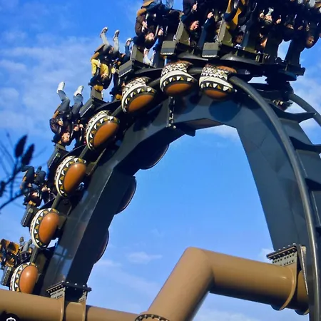 Live Joy- 3 شقة *