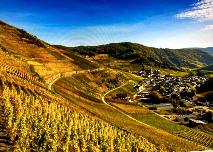 Live Joy- 3 Lägenhet Swisttal