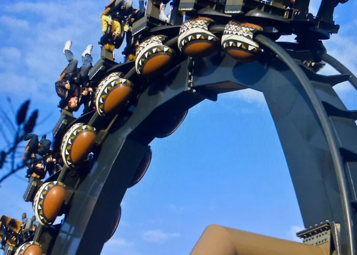 Live Joy- 3 Lägenhet *